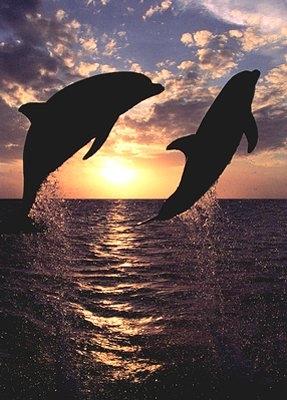 Нощно море